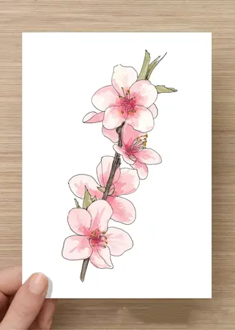 Cách Vẽ Hoa Anh Đào