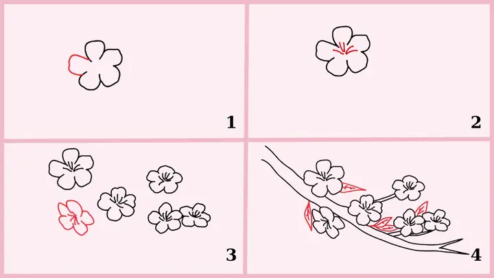 Cách Vẽ Hoa Đào