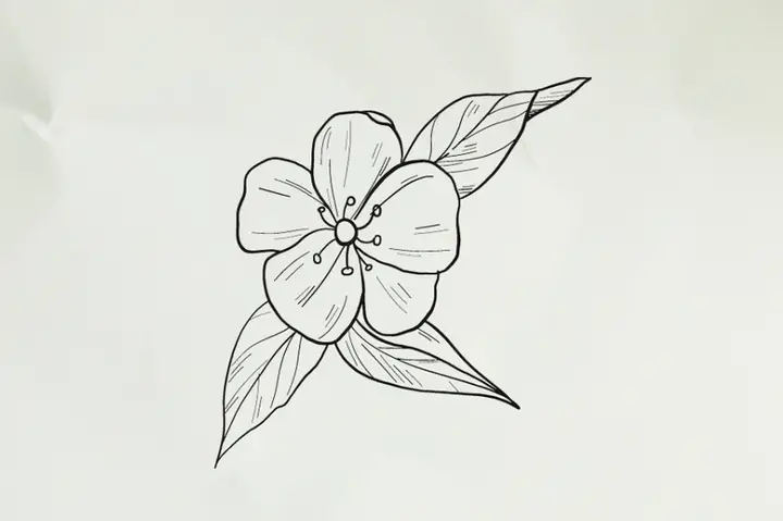 Cách Vẽ Hoa Đào