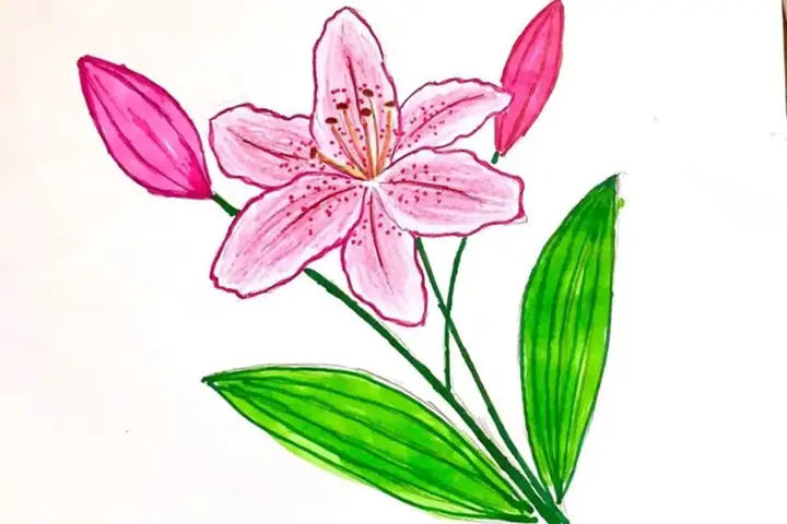 Cách Vẽ Hoa Đẹp Nhất