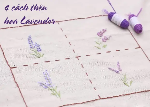 Cách Vẽ Hoa Lavender Cách Vẽ Hoa Lavender