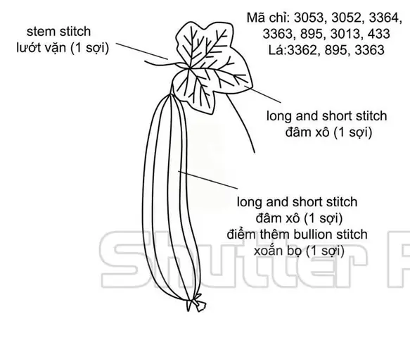 Cách Vẽ Hoa Mướp