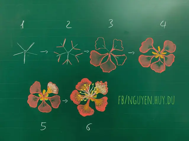 Cách Vẽ Hoa Phượng