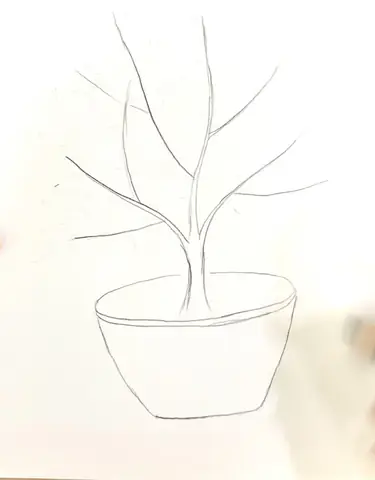 Cách Vẽ Hoa Quất