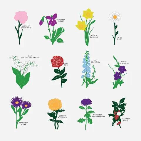Cách Vẽ Hoa Violet