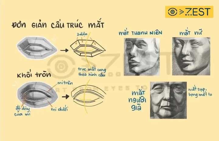 Cách Vẽ Khối Mắt