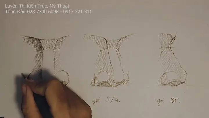 Cách Vẽ Khối Mũi Cách Vẽ Khối Mũi