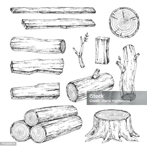 Cách Vẽ Khúc Gỗ