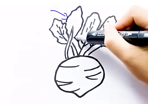 Cách Vẽ Lá Suhao