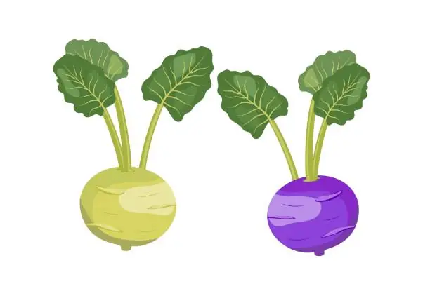 Cách Vẽ Lá Suhao