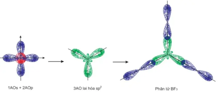Cách Vẽ Lai Hóa