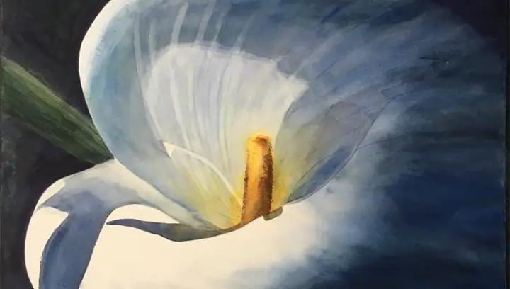 Cách Vẽ Lily