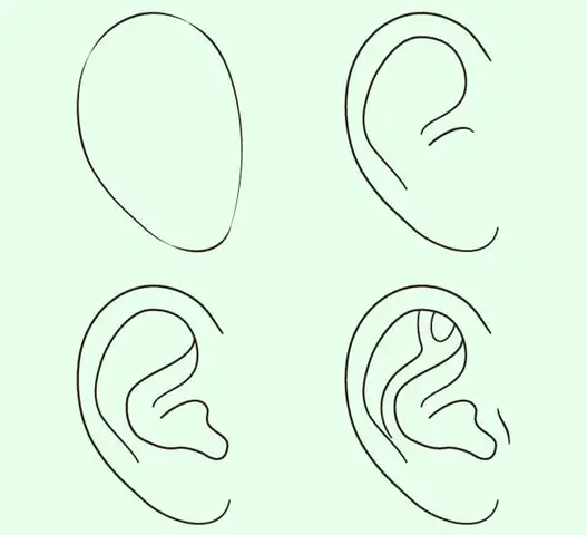Cách Vẽ Lỗ Tai