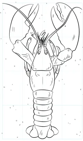 Cách Vẽ Lobster