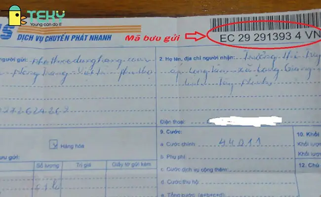 Cách Vẽ Ma Buu