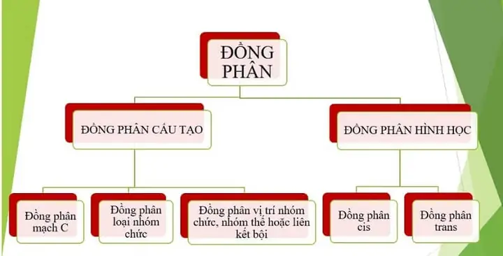 Cách Vẽ Mạch Cacbon