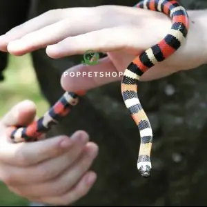 Cách Vẽ Milk Snake