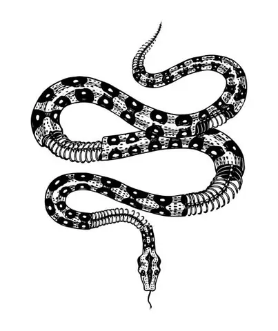Cách Vẽ Milksnake Cách Vẽ Milksnake