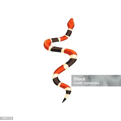 Cách Vẽ Milksnake Cách Vẽ Milksnake