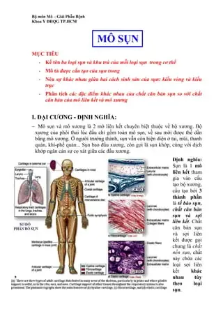 Cách Vẽ Mô Sụn