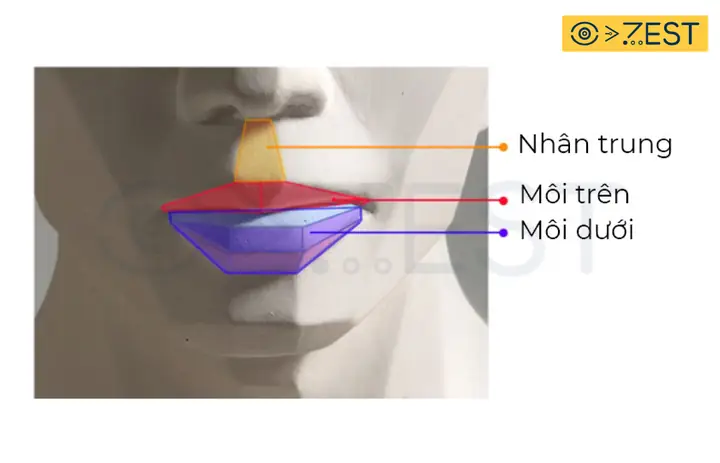 Cách Vẽ Môi Tượng