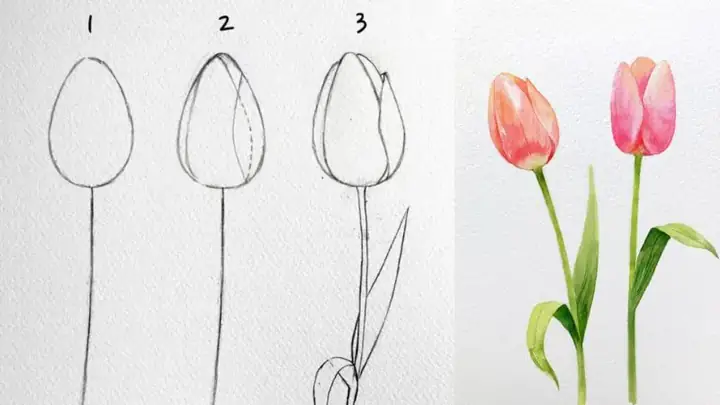Cách Vẽ Một Bông Hoa