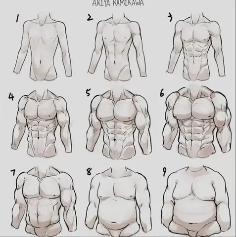 Cách Vẽ Múi Bụng