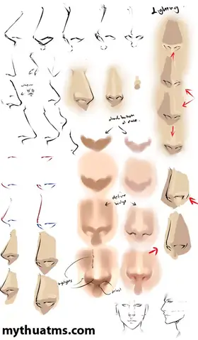 Cách Vẽ Mũi Semi