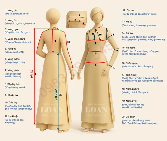 Cách Vẽ Ngực Mâng