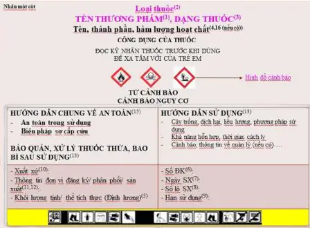 Cách Vẽ Nhãn Thuốc Cách Vẽ Nhãn Thuốc
