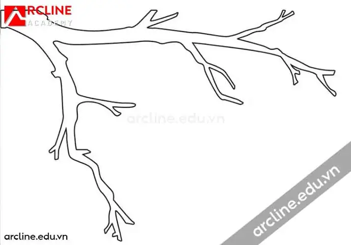 Cách Vẽ Nhanh