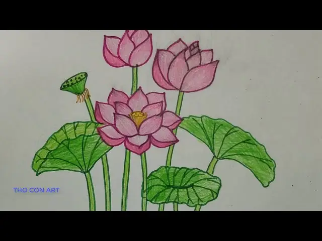 Cách Vẽ Nhụy Sen