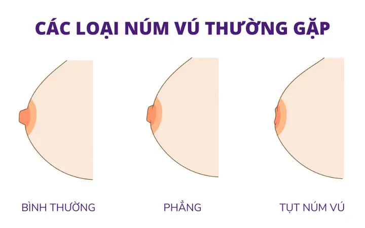 Cách Vẽ Núm Vú Cách Vẽ Núm Vú