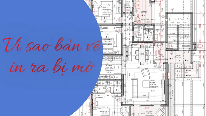 Cách Vẽ Ra Tỳ
