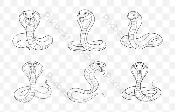 Cách Vẽ Rắn Hổ Mang
