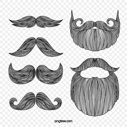 Cách Vẽ Rau Bẩn