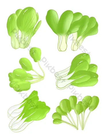 Cách Vẽ Rau Cải Cách Vẽ Rau Cải