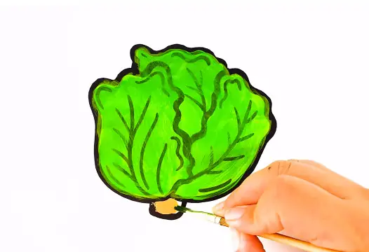 Cách Vẽ Rau Xà Lách Cách Vẽ Rau Xà Lách