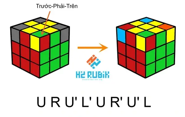 Cách Vẽ Rubic Cách Vẽ Rubic