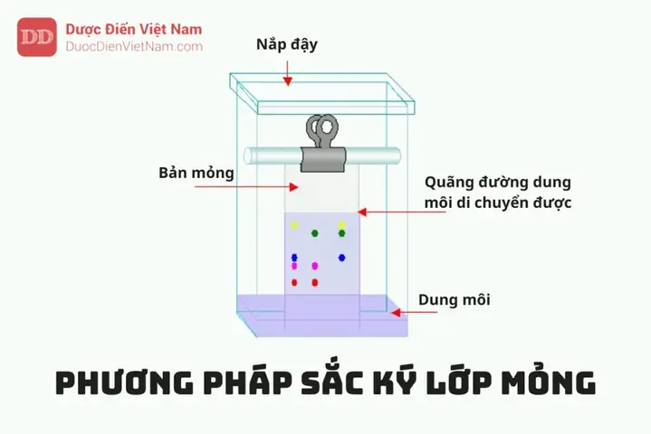 Cách Vẽ Sắc Ký
