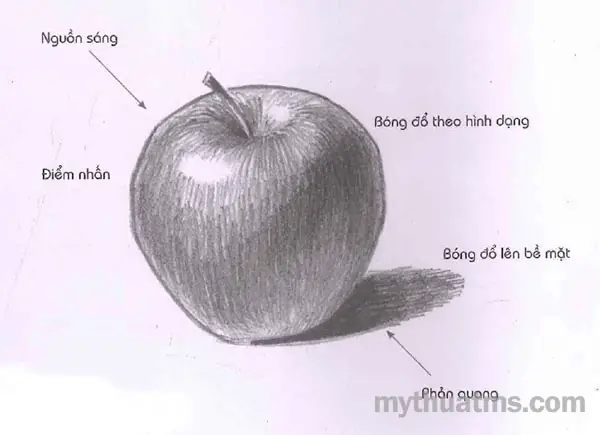 Cách Vẽ Sáng Tối