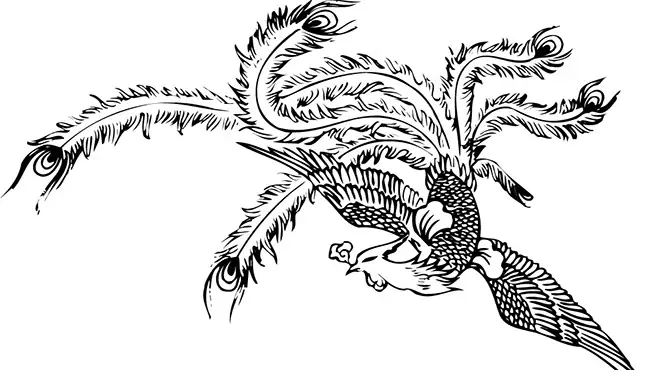 Cách Vẽ Shen