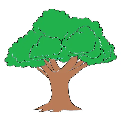 Cách Vẽ Tán Cây