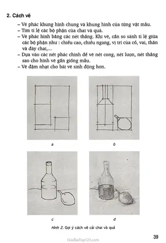 Cách Vẽ Theo Mẫu