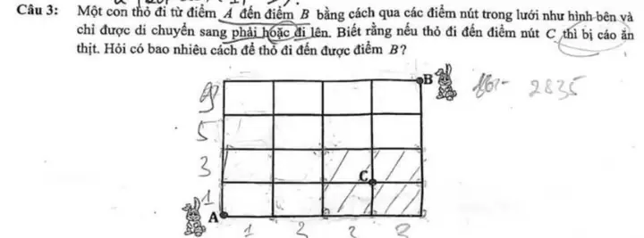 Cách Vẽ Thỏ Đi Cách Vẽ Thỏ Đi