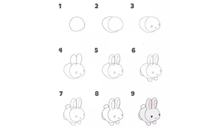 Cách Vẽ Thỏ Đơn Giản