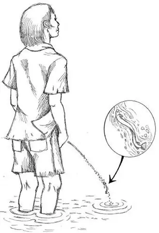 Cách Vẽ Thủy Quái Cách Vẽ Thủy Quái