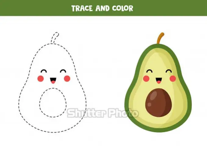 Cách Vẽ Trái Bơ Cách Vẽ Trái Bơ