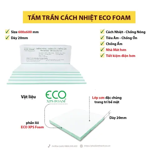 Cách Vẽ Trần 600x600