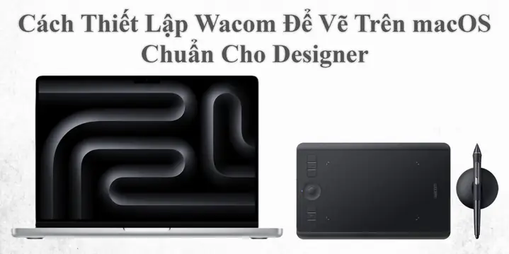 Cách Vẽ Trên Wacom